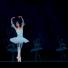 Ingen dans på roser for opera og ballet