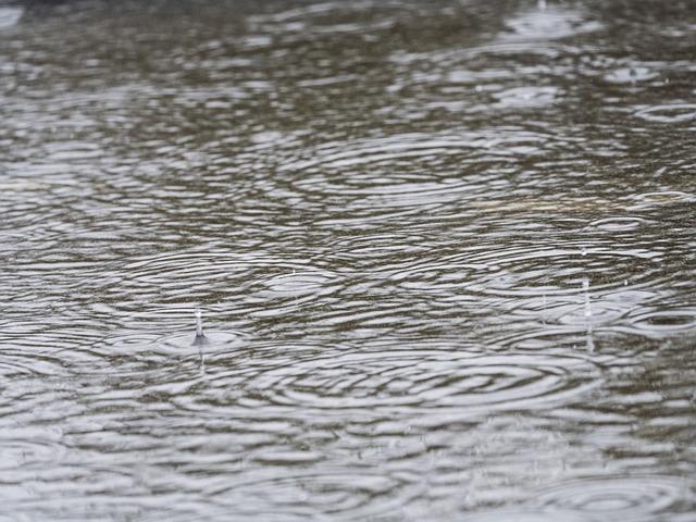 Regn