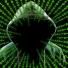 Cybercrime and insurance